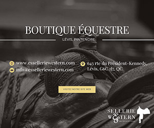 boutique_equestre.jpg
